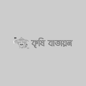 বার্লির হেড ব্লাইট রোগ