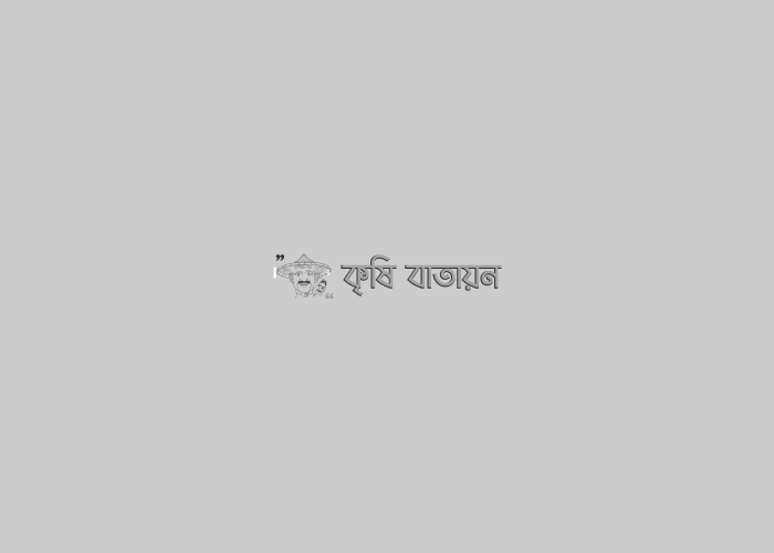 রিক্সাচালক আব্দুল হান্নান ভার্মিকম্পোস্ট উৎপাদন করে বর্তমানে লাখোপতি কৃষক